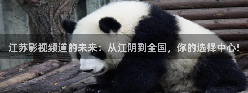 神马影院0680：江苏影视频道的未来：从江阴到全国，你的选择中心!