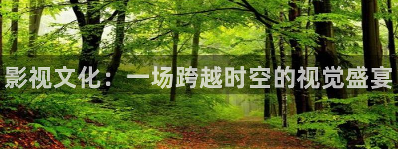 6680新视觉免费新剧在线观看新视觉：影视文化：一场跨越时空的视觉盛宴