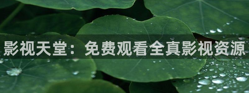 68影视：影视天堂：免费观看全真影视资源