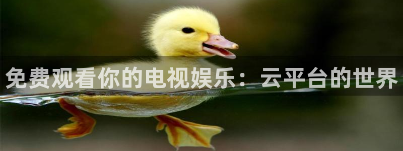 1684神马影院：免费观看你的电视娱乐：云平台的世界