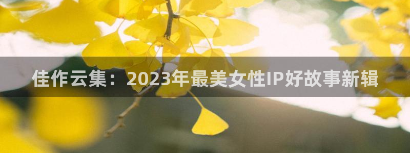 688y午夜神马影院：佳作云集：2023年最美女性IP好故事新辑