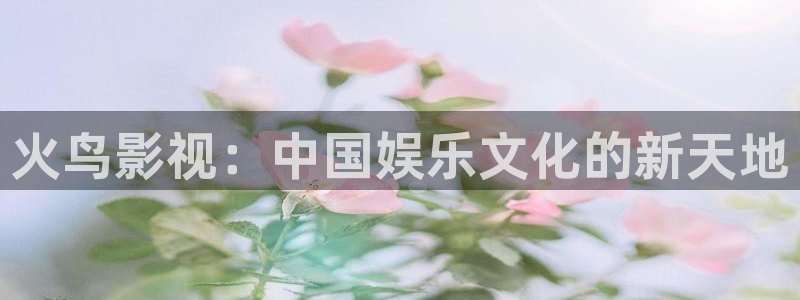 免费播看完整大片686视频：火鸟影视：中国娱乐文化的新天地