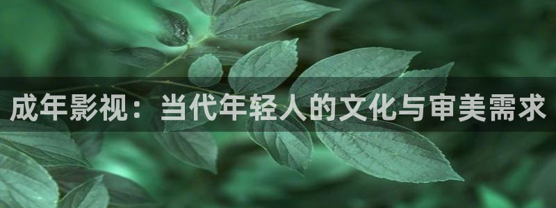 6688电影电视剧免费观看爱看影院：成年影视：当代年轻人的文化与审美需求